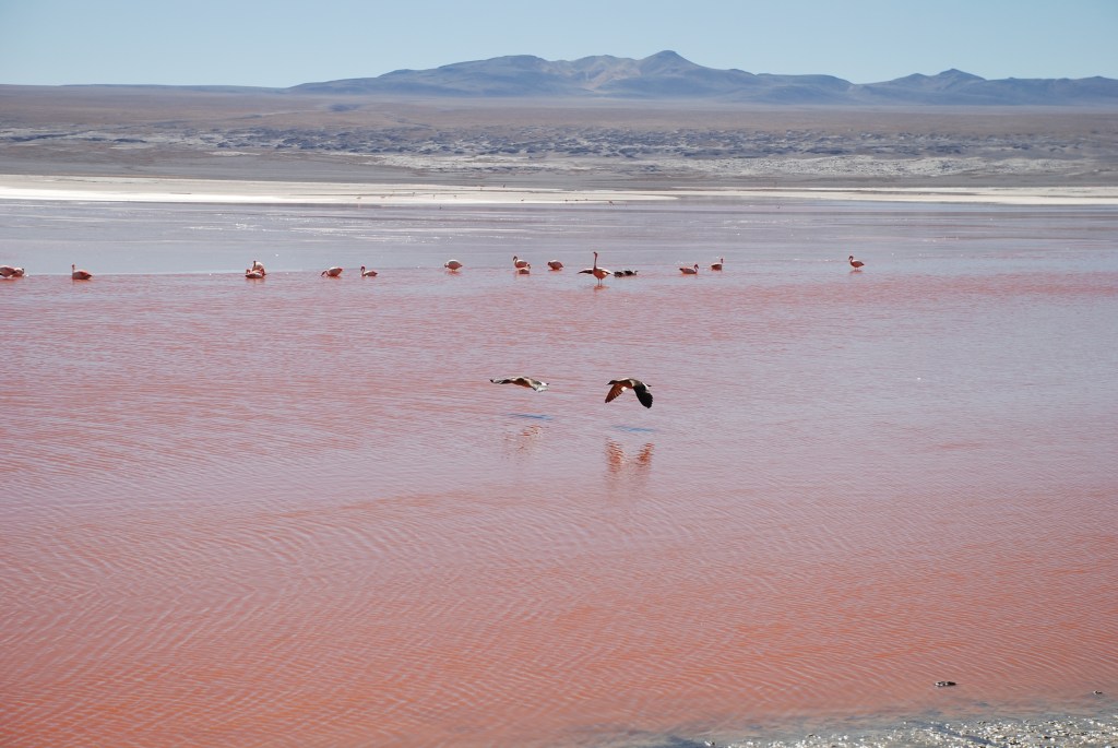 Ruta de los Aymaras, los Quechuas y los Guaraníes.&nbsp;Bolivia