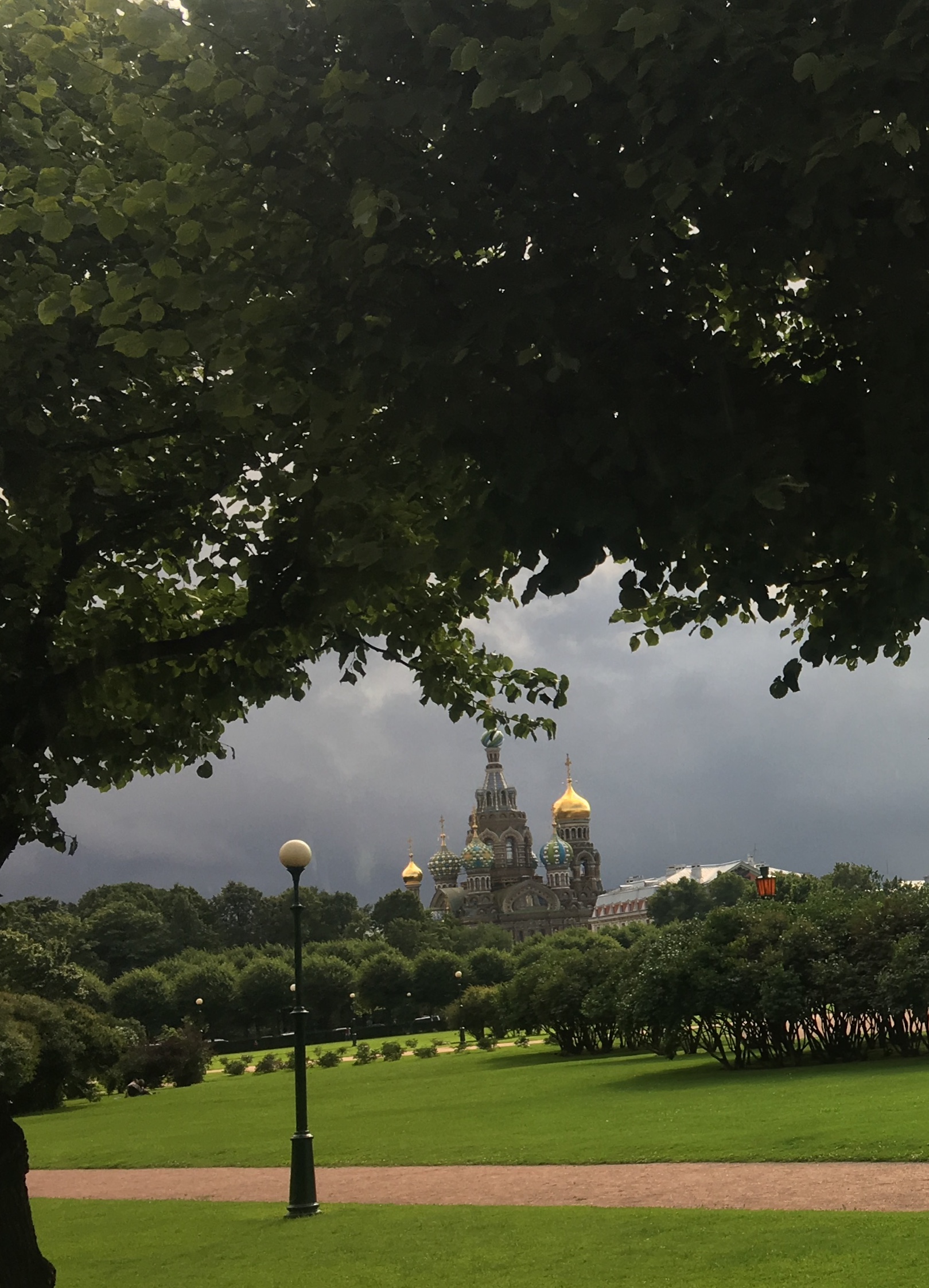 Foto 7-8-17 15 45 38 (1)