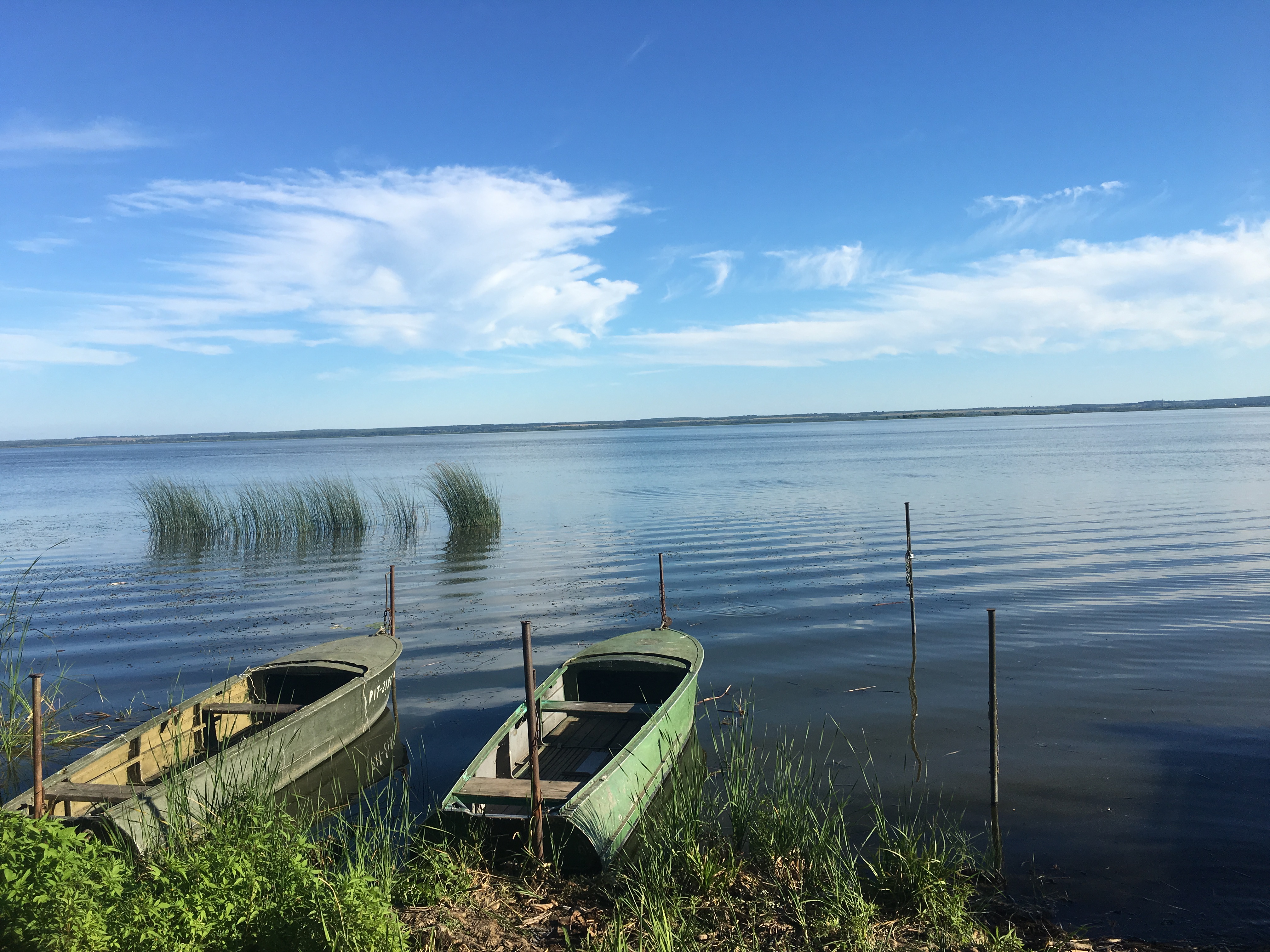 Foto 12-8-17 16 06 42