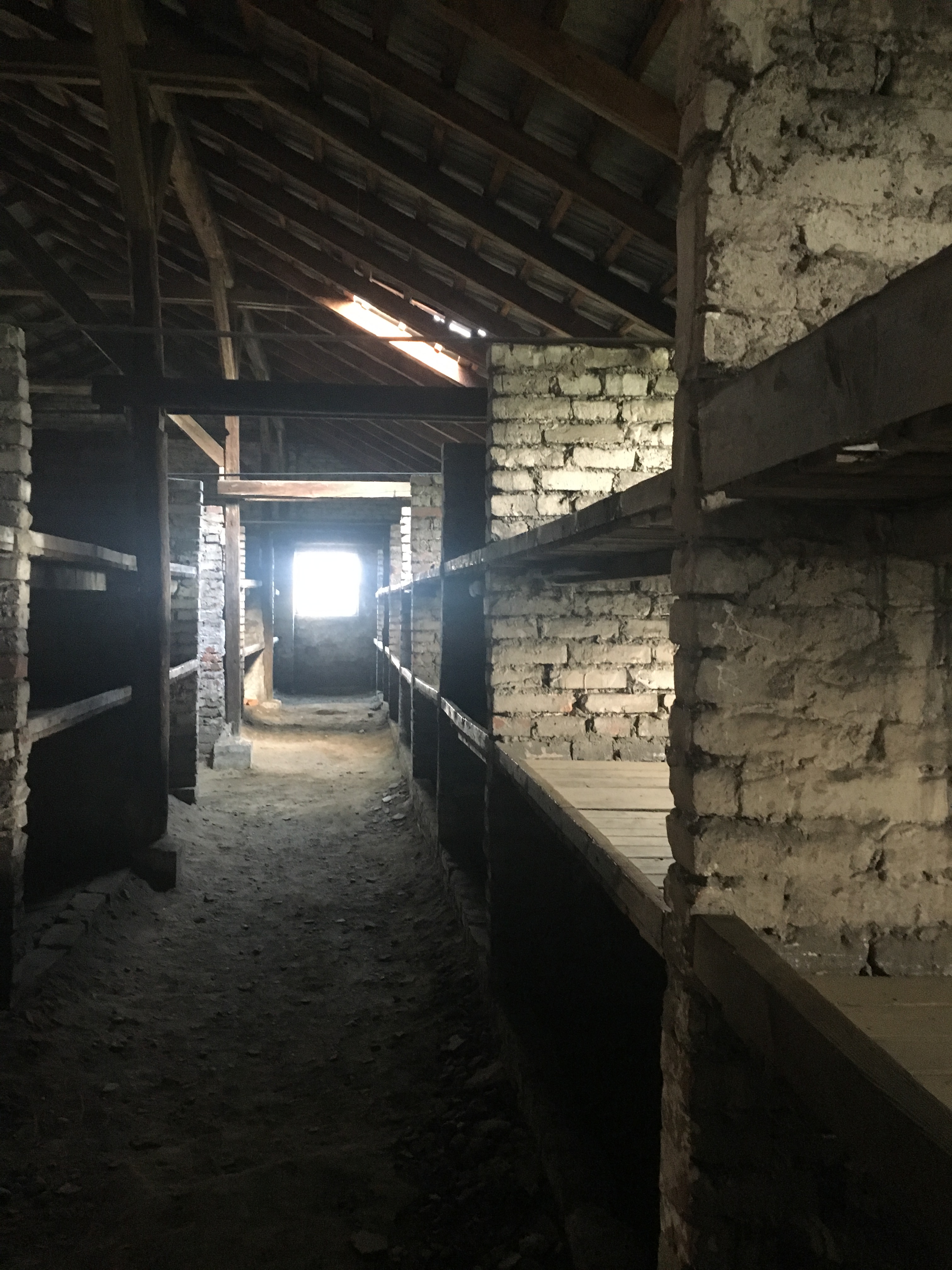 Foto 14-4-17 17 05 41