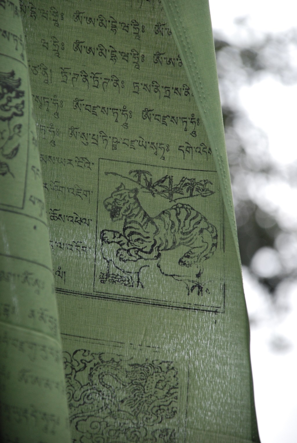 Del Pita del. Sigue tu espíritu. 15 días en la India del Norte&nbsp;(Preparativos)