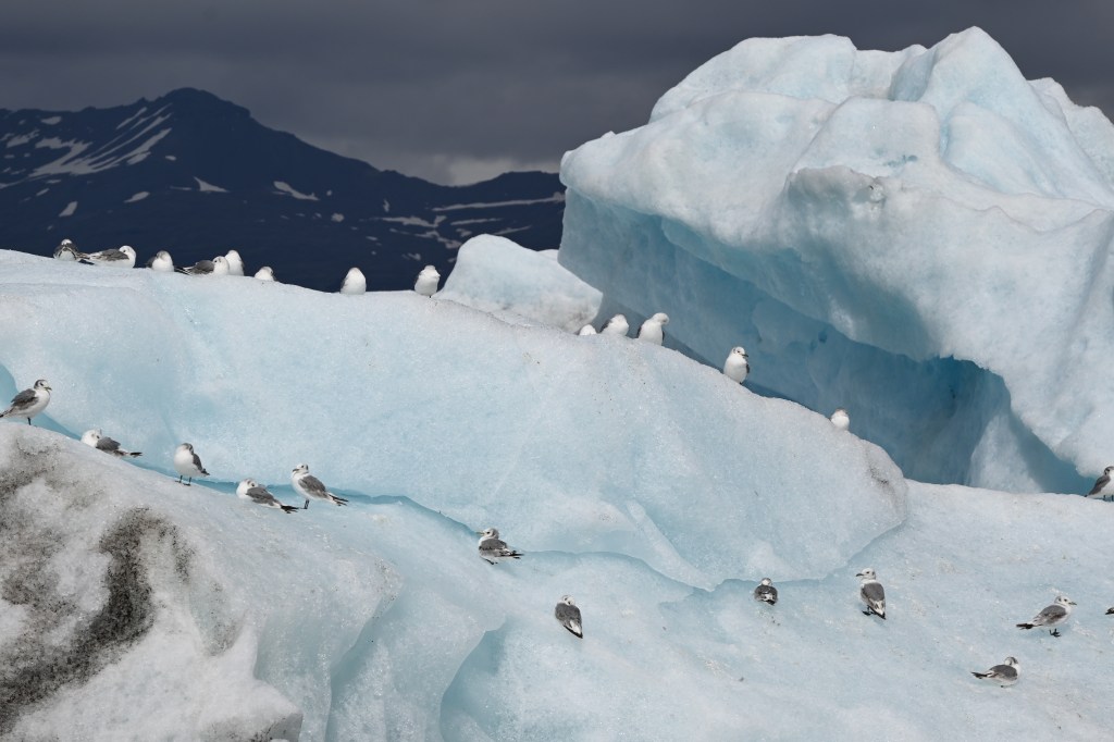 Islandia. Tierra de hielo y&nbsp;fuego